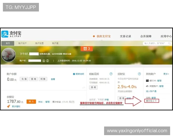 亚星娱乐登录入口官方网站登录指南，详细步骤帮助新手轻松完成账户登录