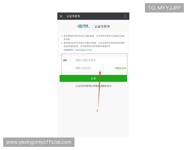 亚星官方在线登录入口成功登录技巧与常见错误排查详细步骤助您轻松应对登录难题