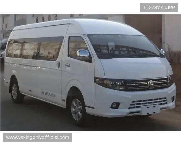 亚星汽车官网官方商城，提供丰富的汽车配件与售后服务一站式购买体验