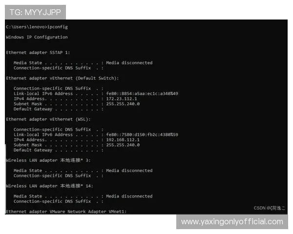 亚星管理平台 cmd3:多行业应用案例分享与实践经验总结 亚星管理平台 cmd3:多行业应用案例分享与实践经验总结