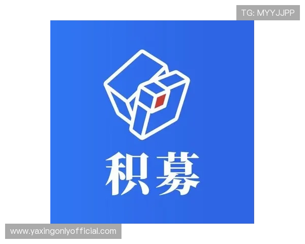 亚星管理平台登录遇到问题怎么办，详细解决方案与常见问题排查指南