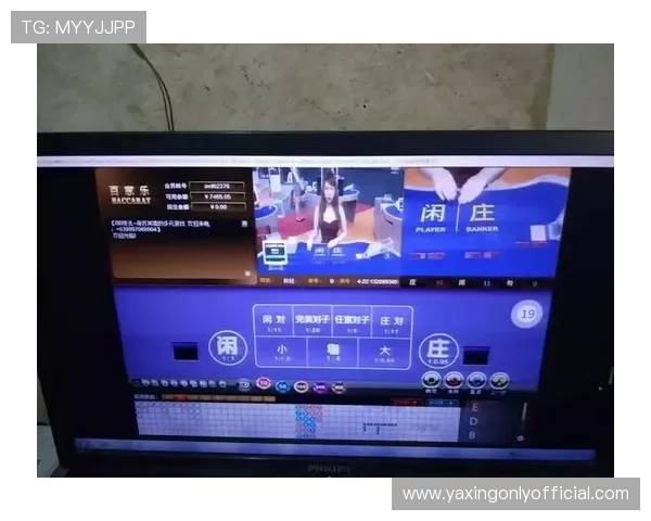 亚星网址管理平台的功能介绍及其在网站安全防护中的重要作用