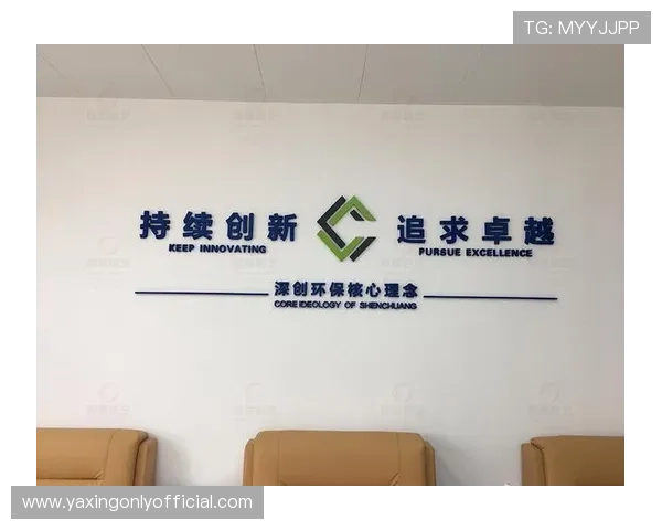 亚星集团简介：企业文化、核心价值观及未来发展规划深度解析